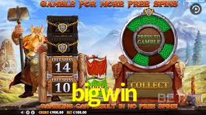 Bonus Features bigwin