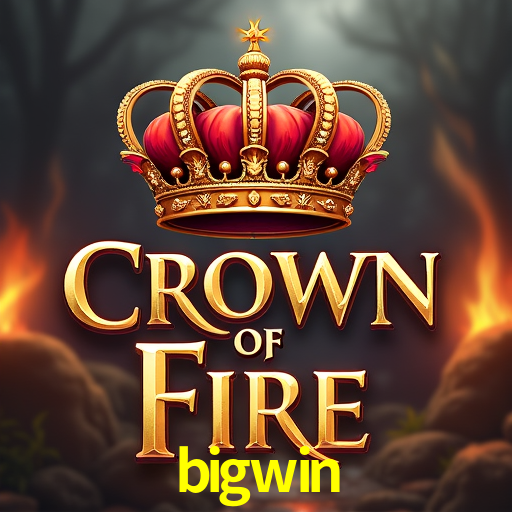 Programa VIP bigwin