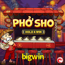 Secure Login bigwin