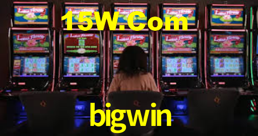 Programa VIP bigwin
