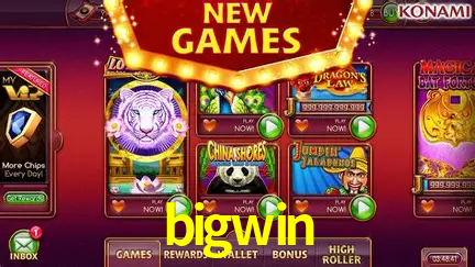 Sistemas de Segurança bigwin